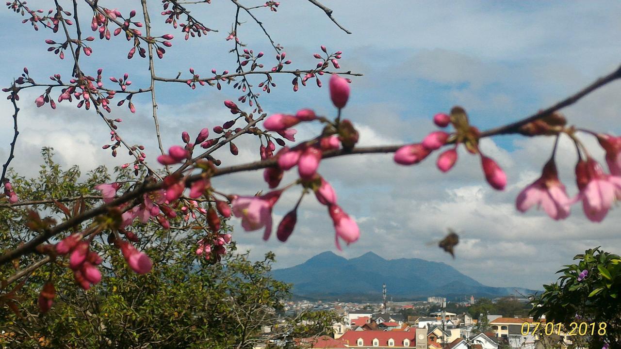 Homstay An Nhien Dalat Exterior foto
